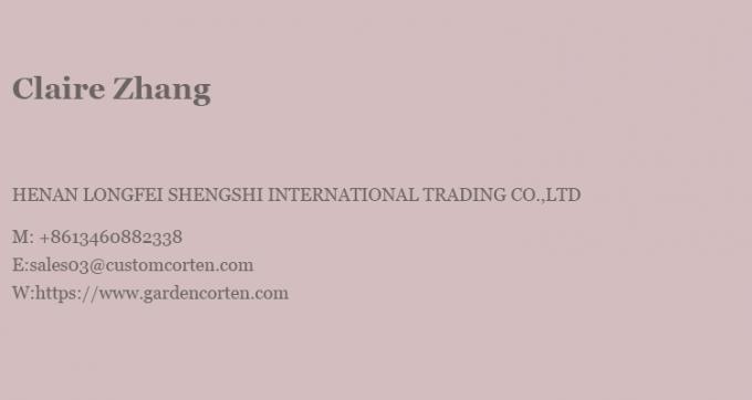 吊り木で燃える暖炉 室内 鉄 オーダーメイド 黒い漆器 飾り付け 26